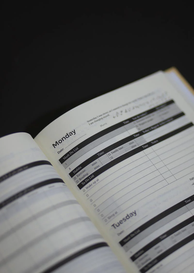 My Daily Planner: Organize Absolutely Everything for A Successful Life - Image 2