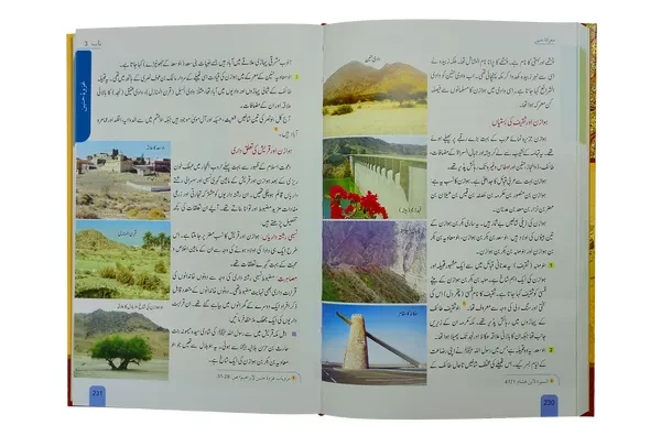 Seerat Encyclopedia (9th Vol) - Image 2
